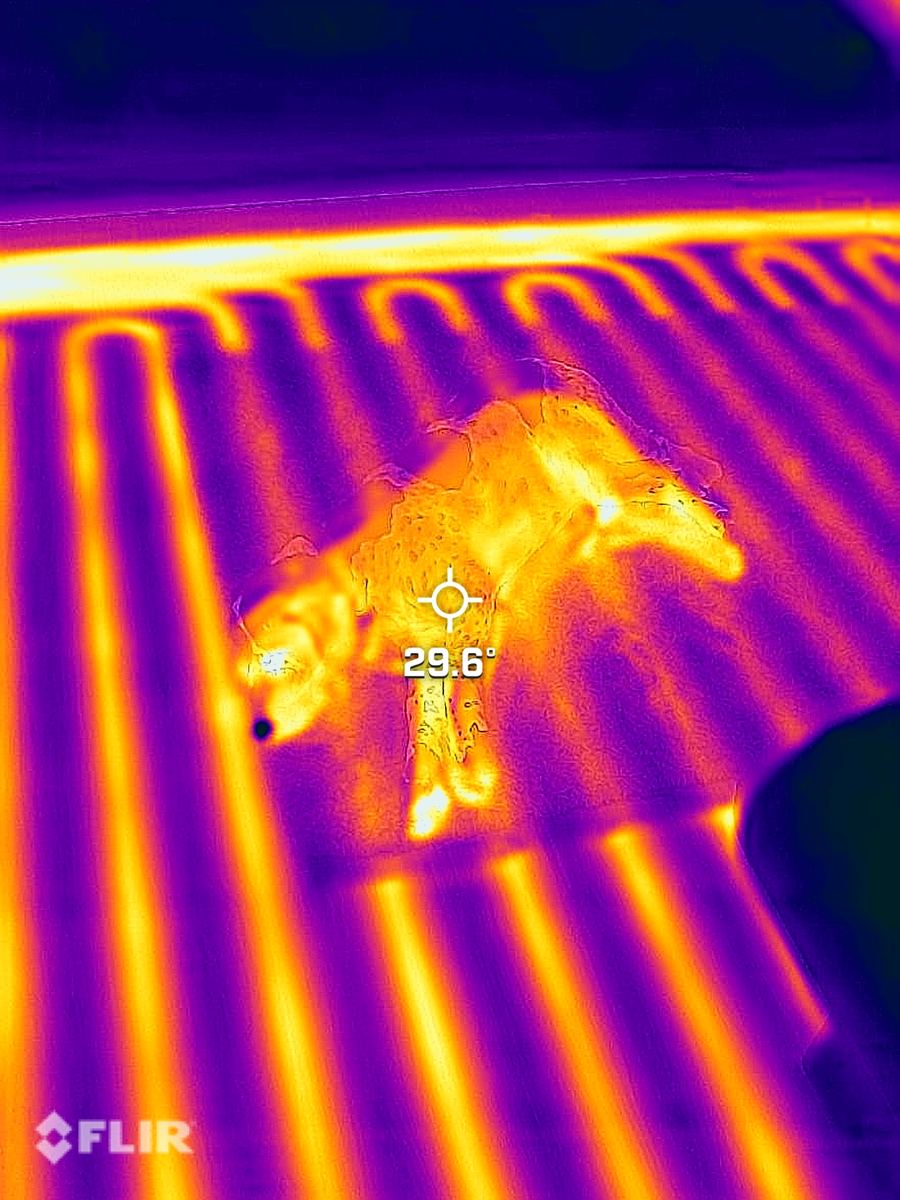 Thermal camera image of underfloor heating showing even heat across every loop