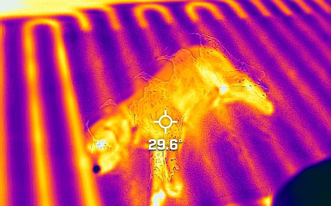Thermal camera image showing even heat output across underfloor loops
